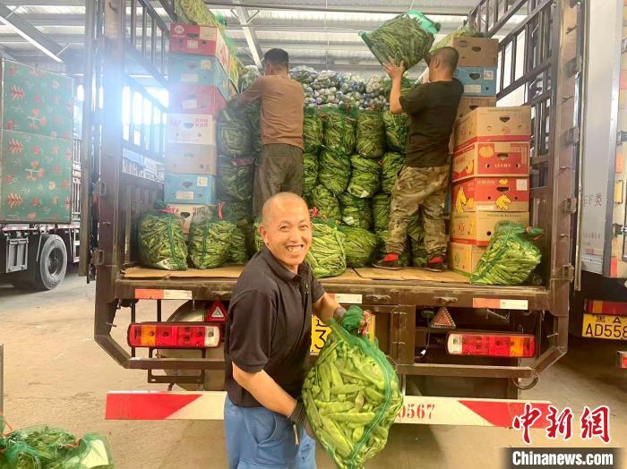 “北菜南运”重要中转枢纽&#32;辽宁新民市打造东北最大产地蔬菜交易中心
