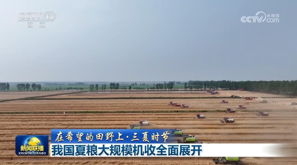 在希望的田野上·三夏时节丨我国夏粮大规模机收全面展开