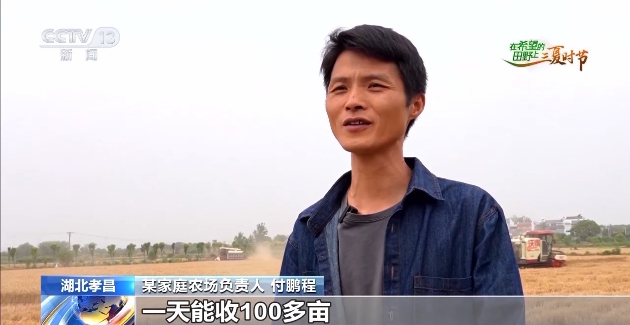三夏时节迎丰收&#32;小麦、稻虾、西瓜解锁农田增收“密码”