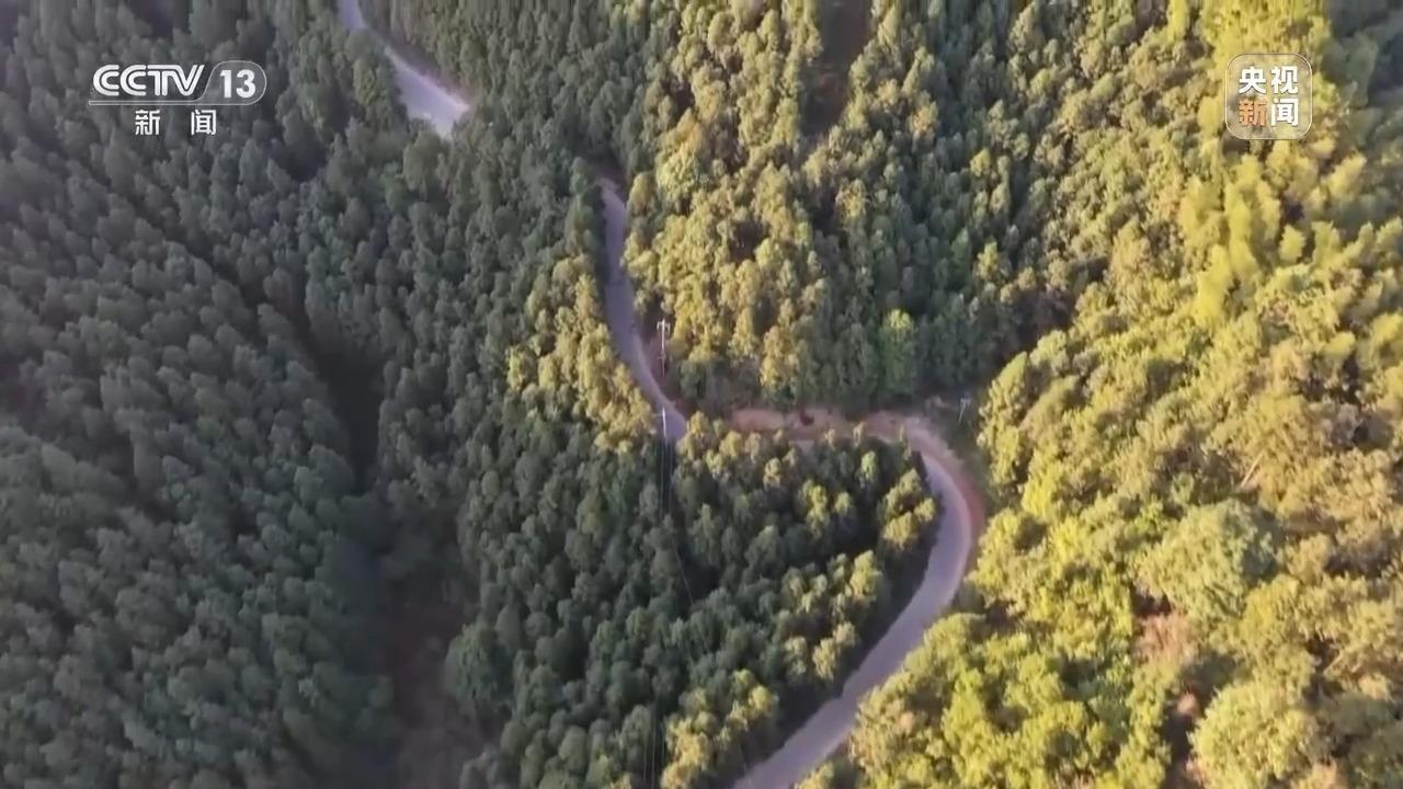 一线调研丨不沿边不靠海&#32;湘西小城如何成为外贸新“通道”？