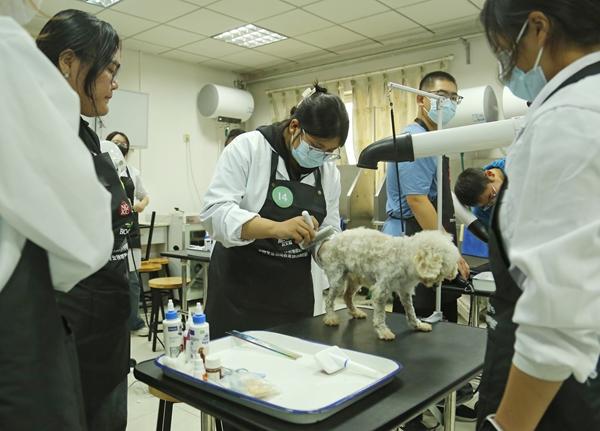 宠物经济爆火背后的人才培养