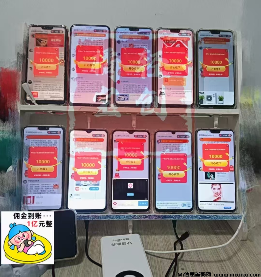 首码金小马又开始开闸放水了