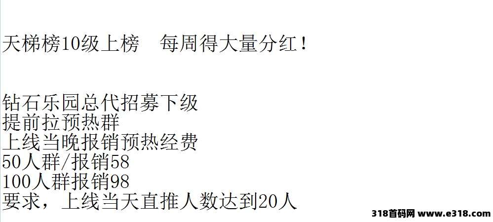 《钻石乐园》首码对接团队长