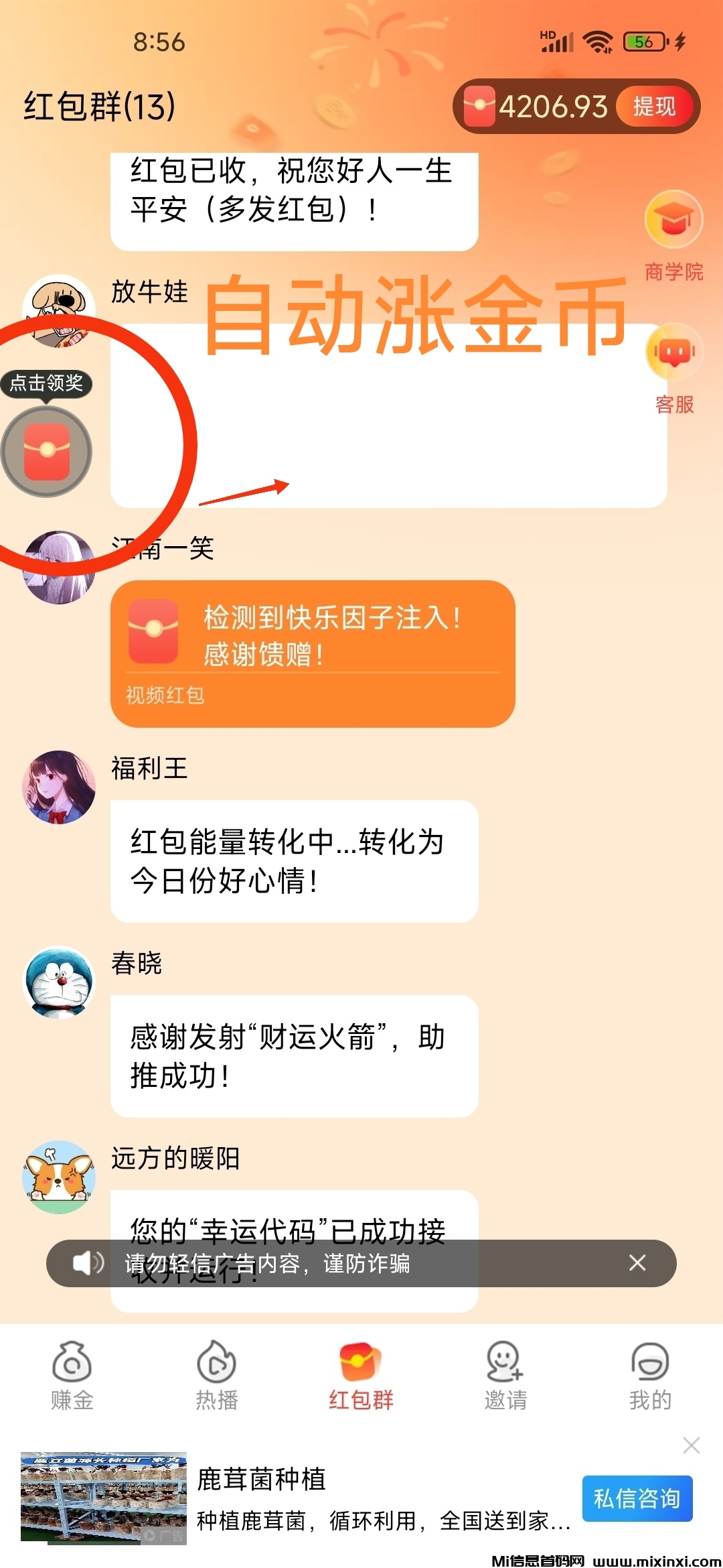 星耀金牛，零撸广告首码刚出，活动奖励