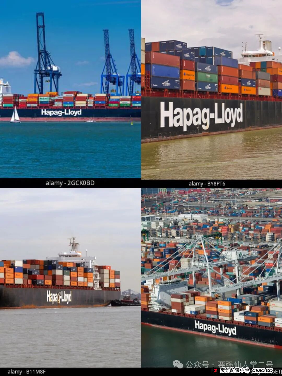 警惕！“赫伯罗特(Hapag-LIoyd)”重启资金盘骗局卷土重来，操盘手圈钱千万，随时面临跑路风险！