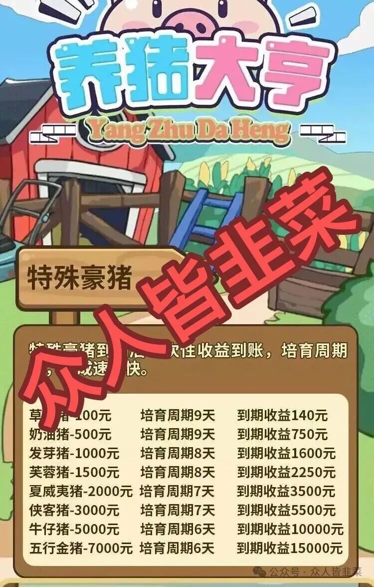 养猪大亨：这个最近刚上线的诈骗项目是短命盘，千万别碰！