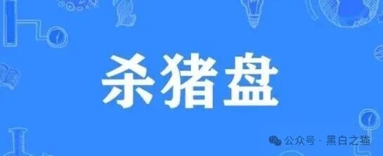 资金盘｜电诈团伙伪冒“TCV资本”，通过话术精准诱惑孤单女性投资，被围猎者还飘飘欲仙......